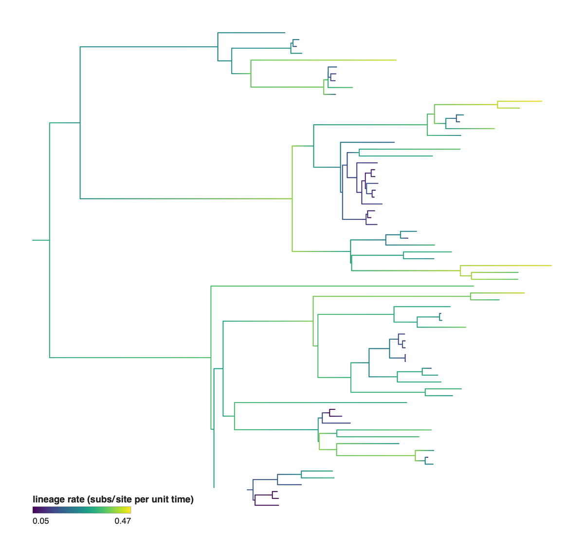 Autocorrelated clock