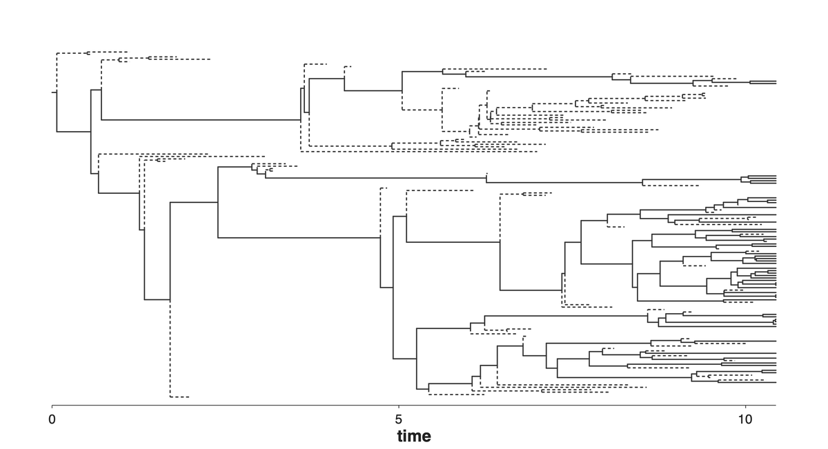 Extinct lineages