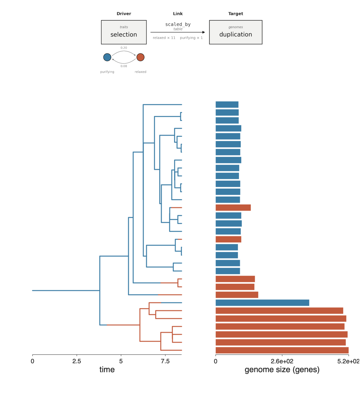 Genome expansion