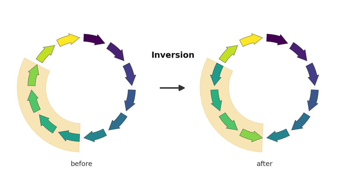 An inversion, before → after