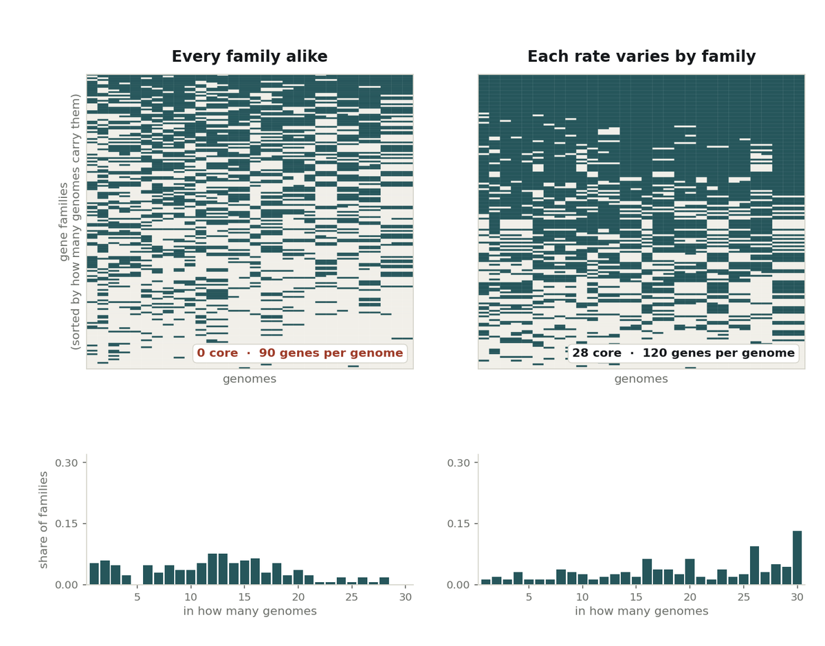 Gene family heterogeneity