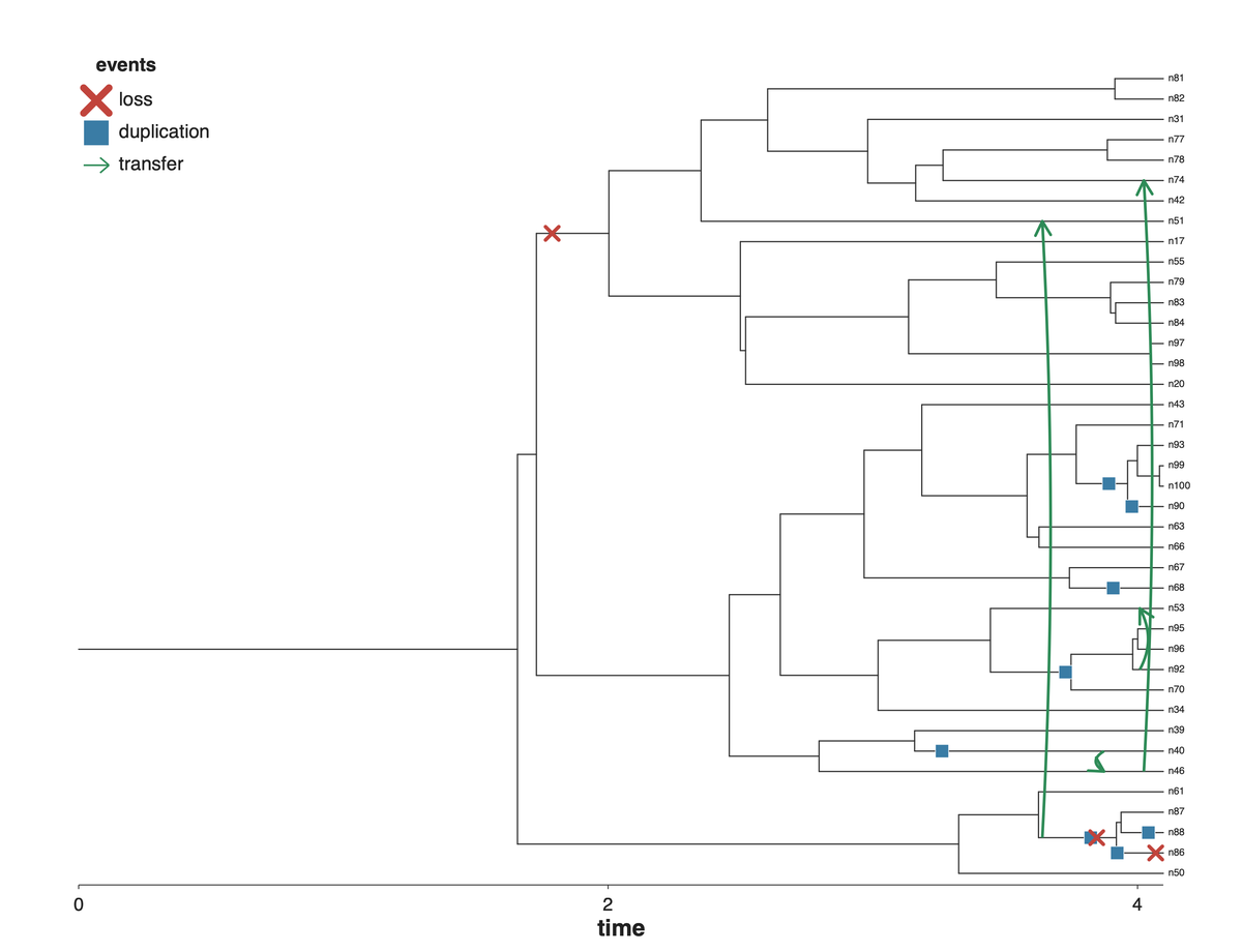 Gene-family events on the tree