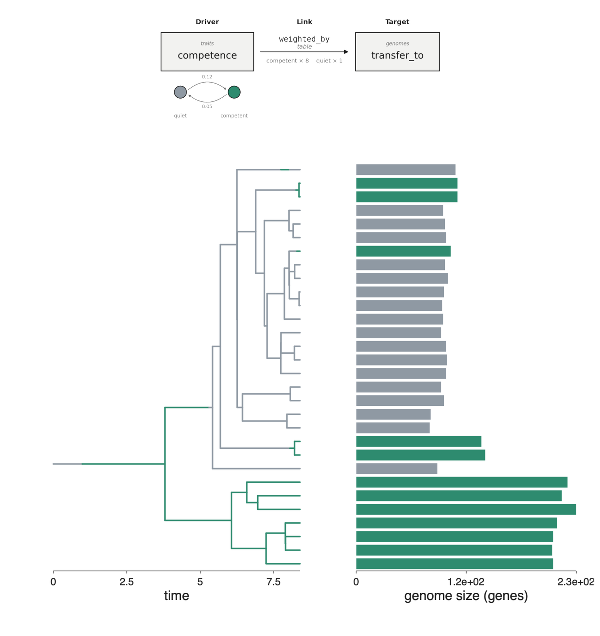 HGT uptake by competence
