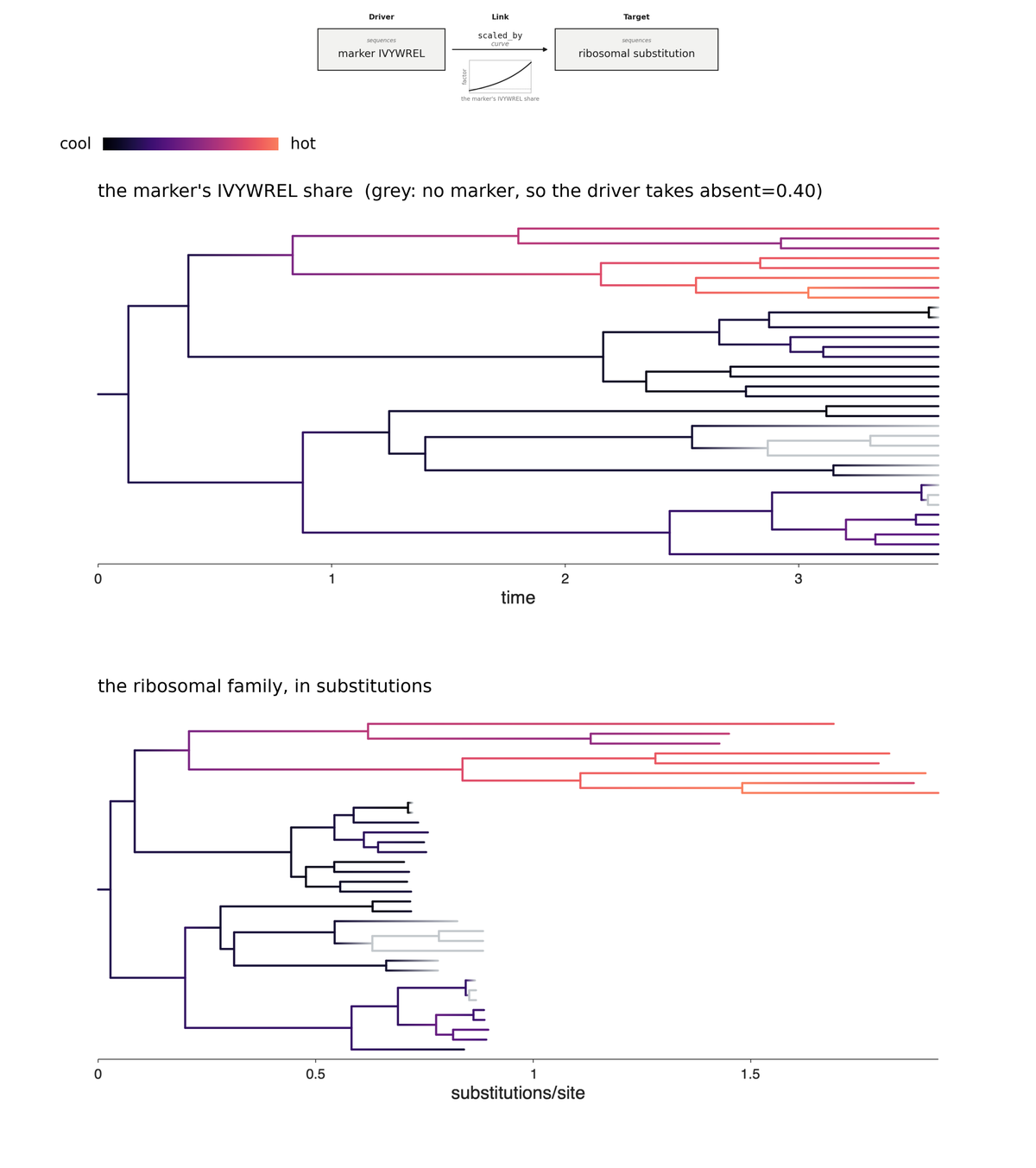 One named gene drives another