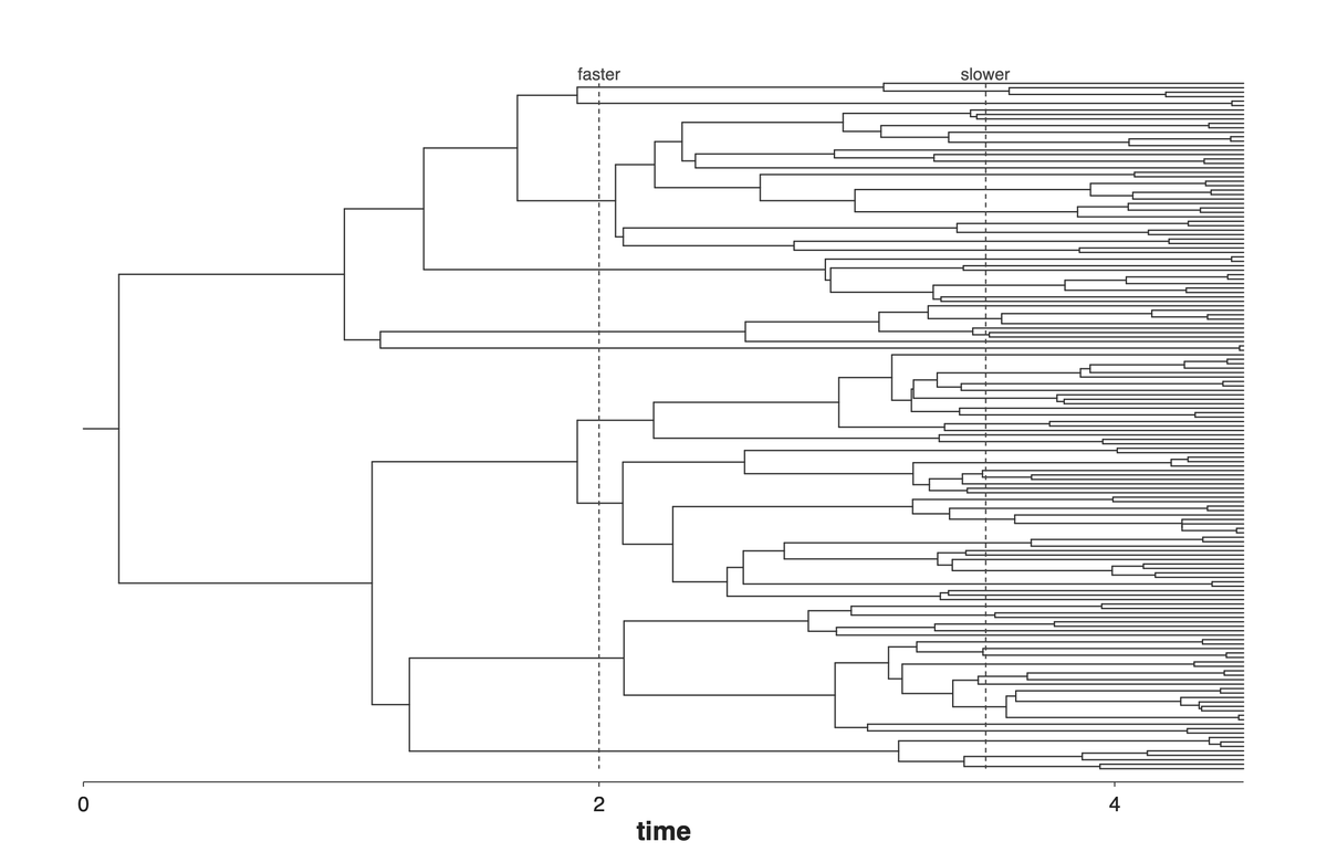 Rate shifts