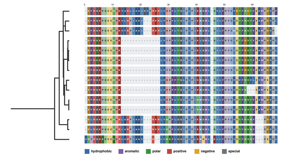 A protein with indels