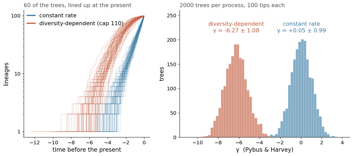Shape statistics over many trees