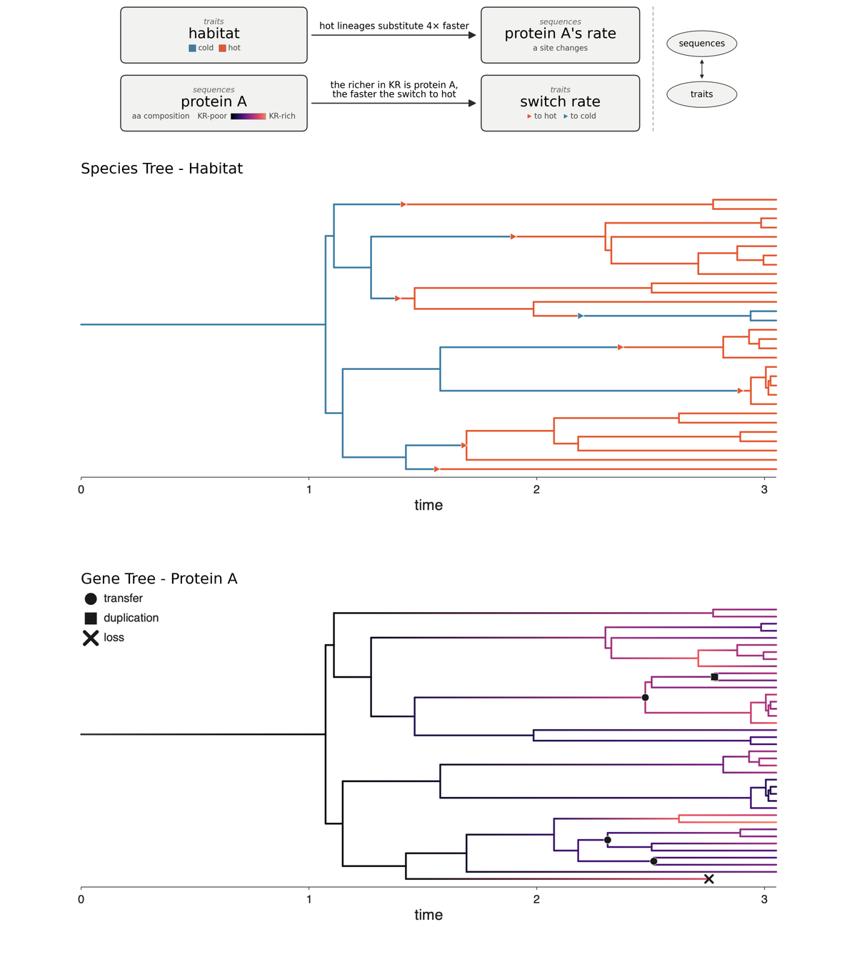 A trait and a gene's sequence