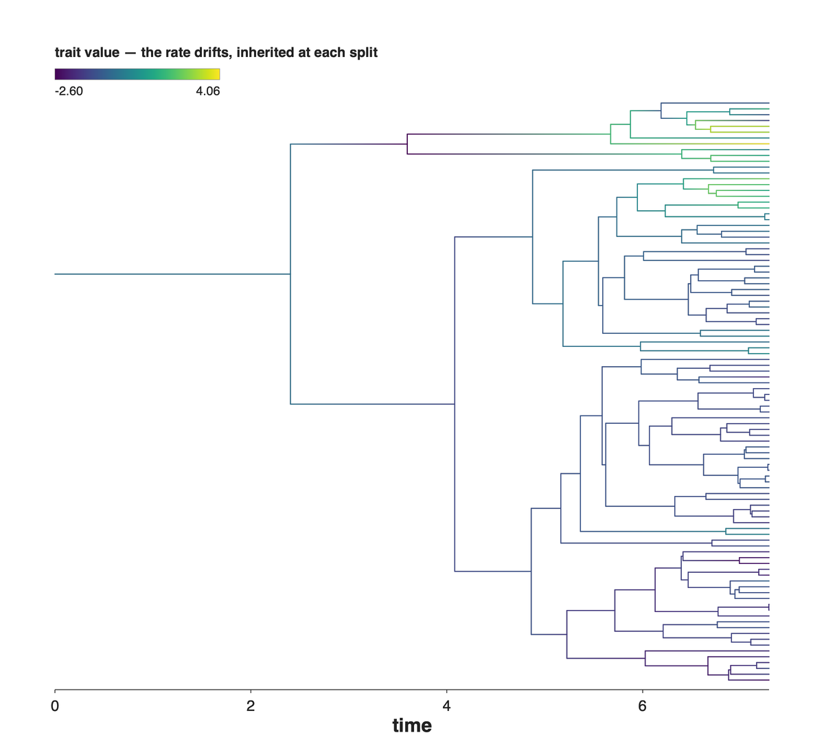A rate that varies between lineages